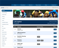 Automated Bookmaker Website
